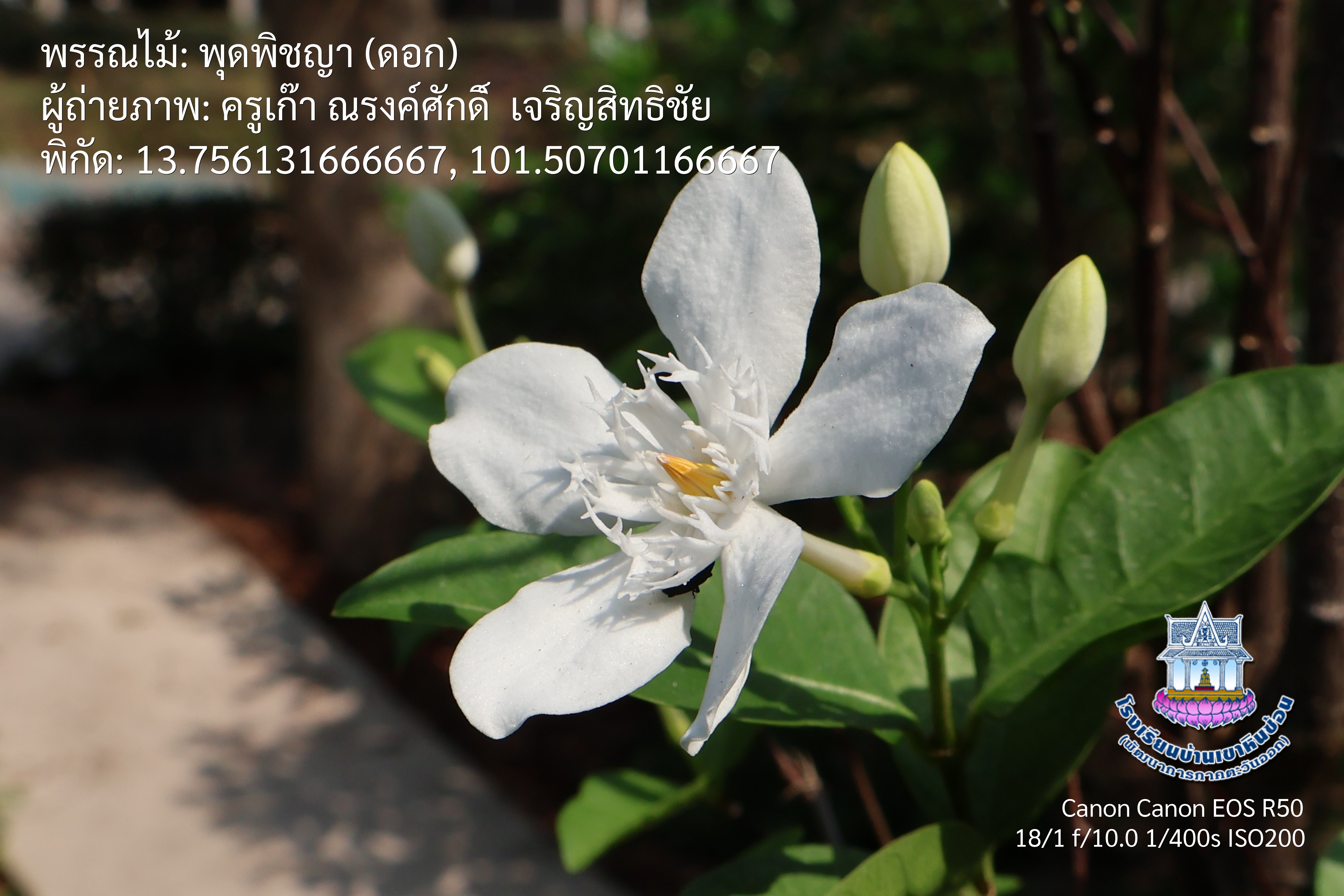 photo