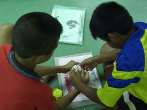 cimg0786.jpg.jpg