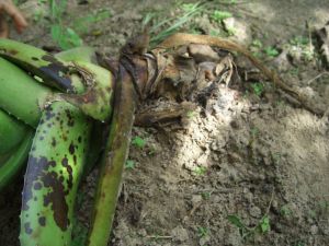 cimg7648.jpg.jpg