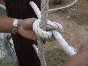 cimg7680.jpg.jpg