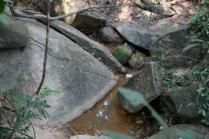 img_0440.jpg.jpg