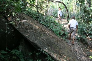 img_0444.jpg.jpg