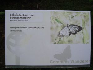 cimg7597.jpg.jpg