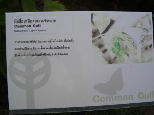 cimg7600.jpg.jpg