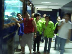 cimg6205.jpg.jpg