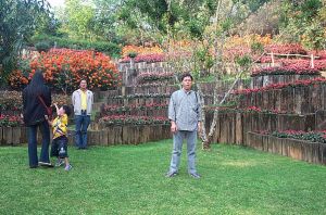 dcp_8951.jpg.jpg