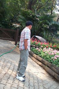 dcp_8953.jpg.jpg