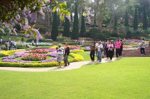 dcp_8976.jpg.jpg