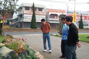 dcp_8987.jpg.jpg