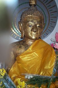 dcp_9030.jpg.jpg