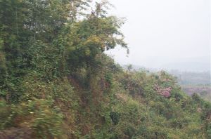 dcp_9043.jpg.jpg