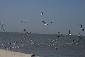 img_2112.jpg
