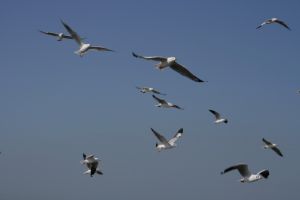 img_2113.jpg