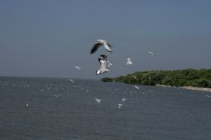img_2115.jpg