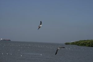 img_2118.jpg