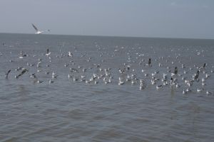 img_2119.jpg