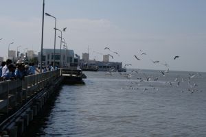 img_2120.jpg