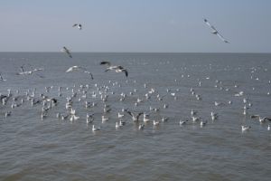 img_2122.jpg
