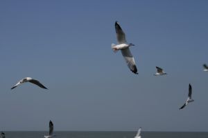 img_2123.jpg