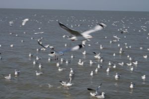 img_2124.jpg