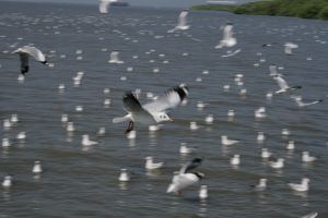 img_2125.jpg