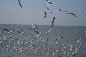 img_2127.jpg