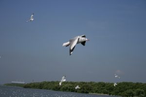 img_2128.jpg