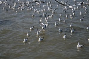 img_2134.jpg