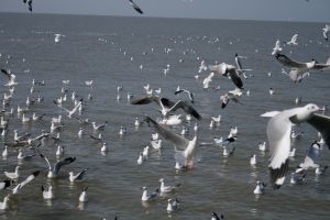 img_2138.jpg