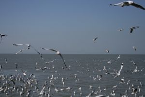 img_2139.jpg
