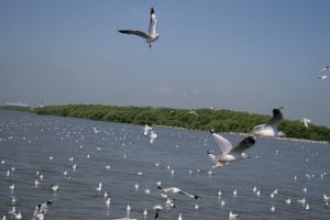 img_2140.jpg