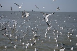 img_2141.jpg