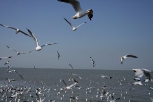 img_2142.jpg