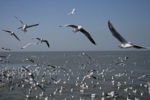 img_2143.jpg
