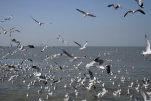 img_2144.jpg