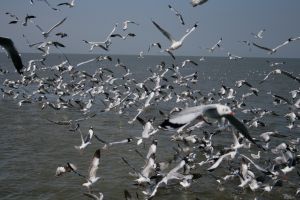 img_2145.jpg