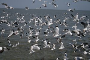 img_2146.jpg