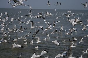 img_2147.jpg
