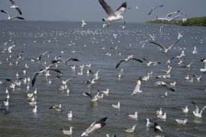img_2148.jpg