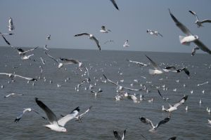 img_2149.jpg