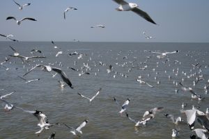 img_2150.jpg