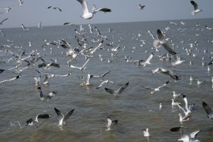 img_2151.jpg