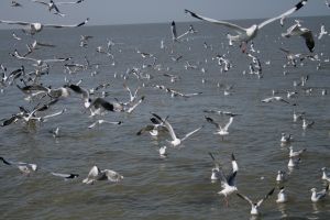 img_2152.jpg