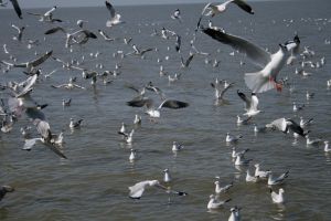 img_2153.jpg