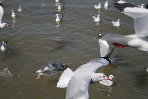 img_2156.jpg