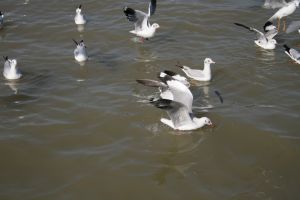 img_2157.jpg
