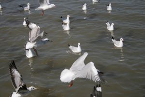 img_2158.jpg