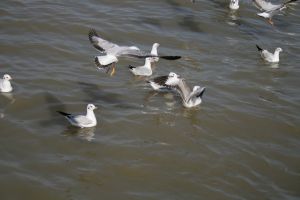 img_2159.jpg