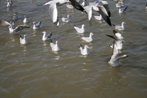 img_2160.jpg