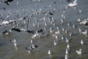 img_2161.jpg